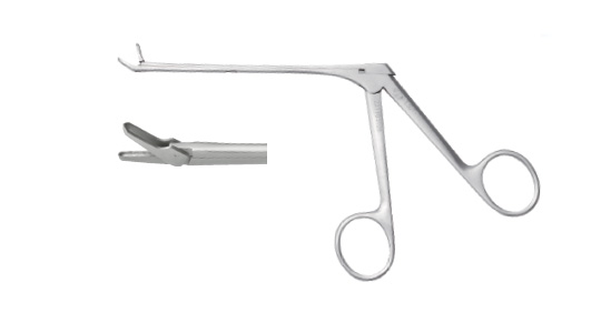 E447 nasal cutting forceps (straight hollow downward punch)